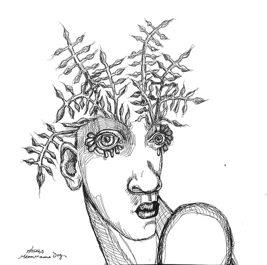 Petal Eyes, Flower Fairy